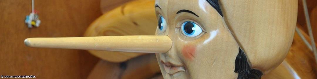 Un lecteur, agrégateur de flux RSS qui suit l'actualité du Net .