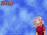 naruto-anime-free-wallpaper_09.jpg