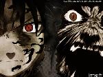 naruto-anime-wall_03.jpg