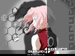 naruto-anime-wall_04.jpg