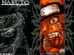 naruto-collection_12.jpg