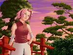 naruto_231.jpg